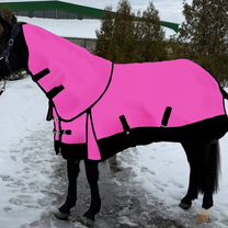 Зимние теплые попоны, Фрязино
