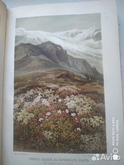 Редкие антикварные книги. Жизнь растений