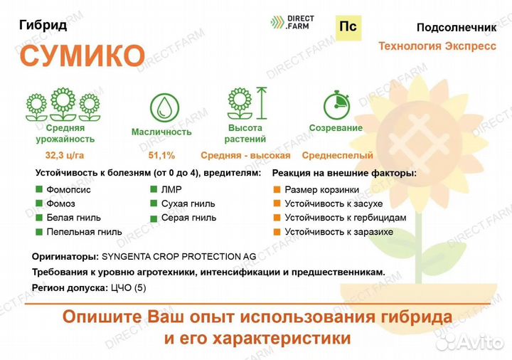 Семена подсолнечника Сингента Сумико