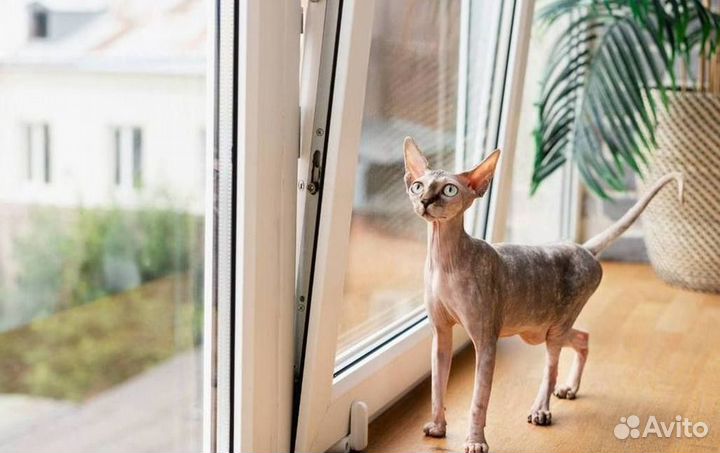 Пластиковые окна rehau