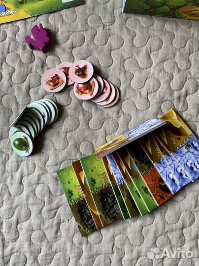 Драконье королевство