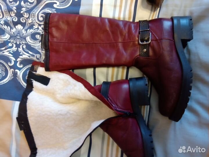 Сапоги осень весна женские 37