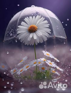 Очень мощный мфу Xerox 3615 + картридж Гарантия