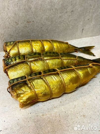 Рыба Скумбрия гор. б/г цена за кг