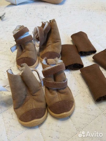 Одежда для маленьких собак