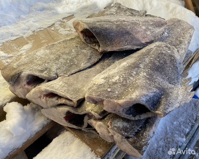 Палтус с/м синекорый 1-2