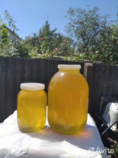 Мёд липовый