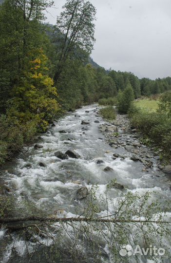 Уникальный тур в Абхазию. Ауадхара