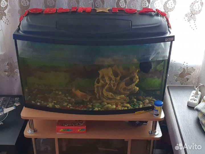 Аквариум