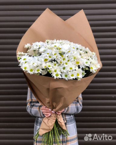 Цветы хризантемы