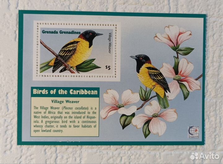 Марки флора и фауна