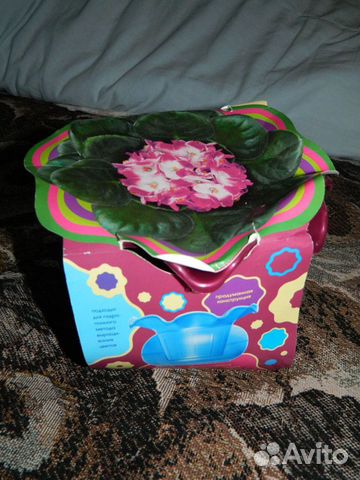 Горшочки для цветов