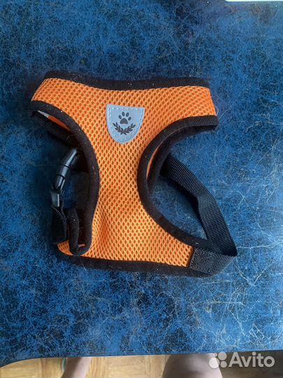 Шлейка для собаки
