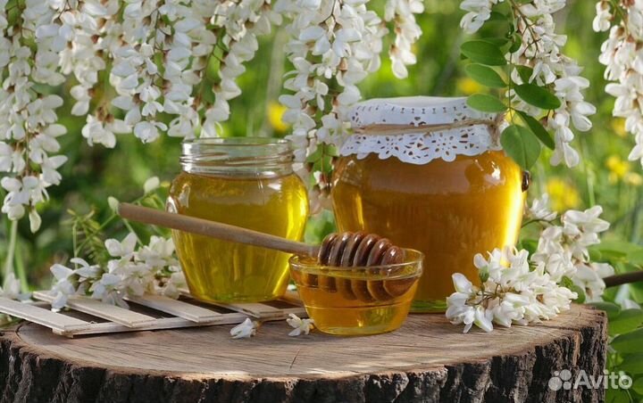 Вересковой мед 2024 года от 1 куботейнера