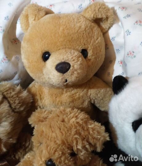 Медведи коллекционные