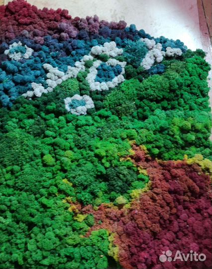 Панно цветное из мха