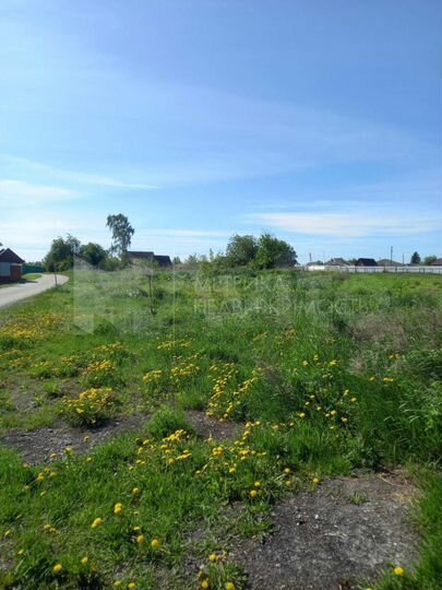 Участок 9 сот. (СНТ, ДНП)