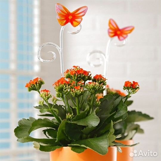 Красивые Опоры для для орхидей-фаленопсисов