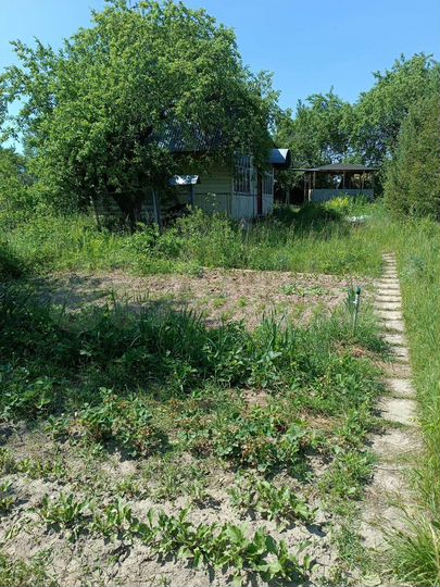 Дом 60 м² на участке 16 сот.