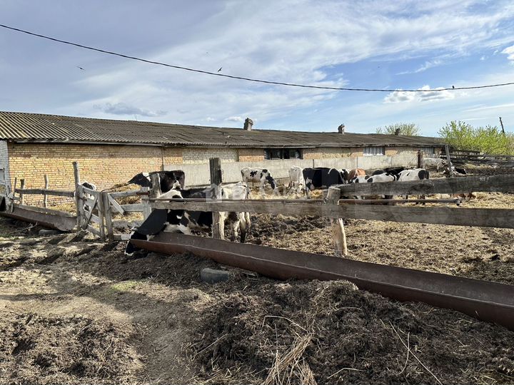 Продам помещение свободного назначения, 1500 м²