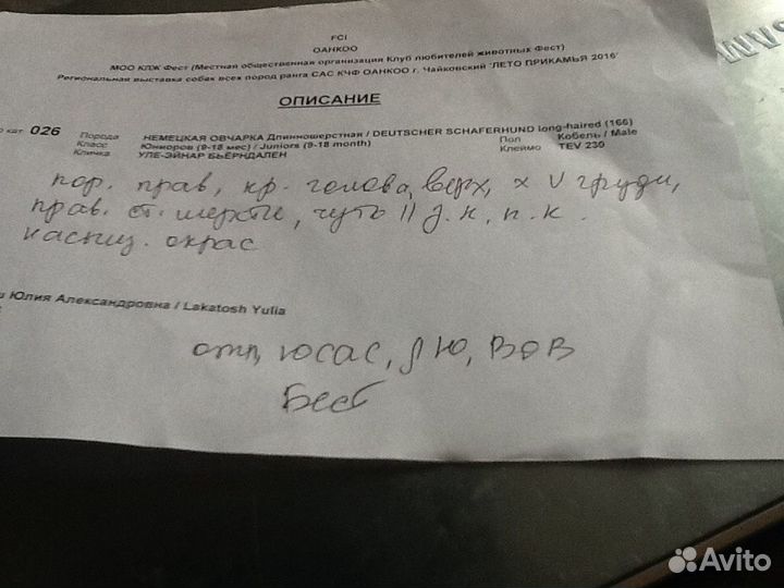 Кобель для вязки