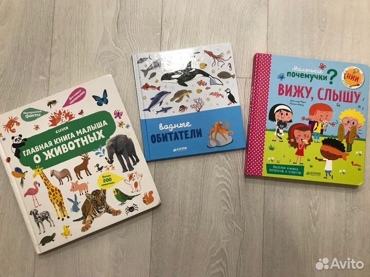 Книги и сортер детские