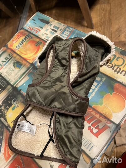 Одежда для собак H&M