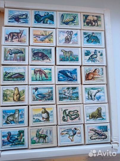 Спички,Набор Занесены в Красную книгу СССР