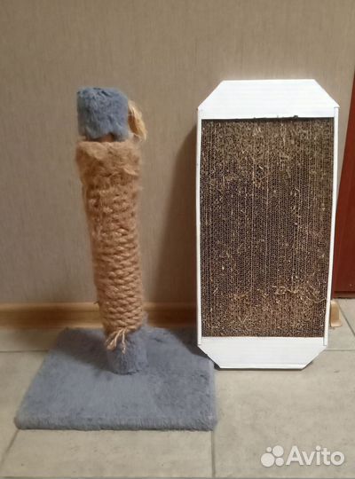 Когтеточка