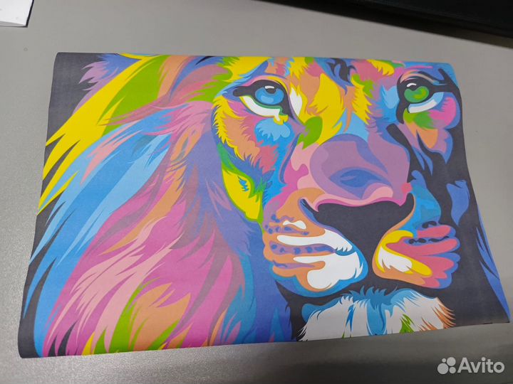 Принтер epson l805