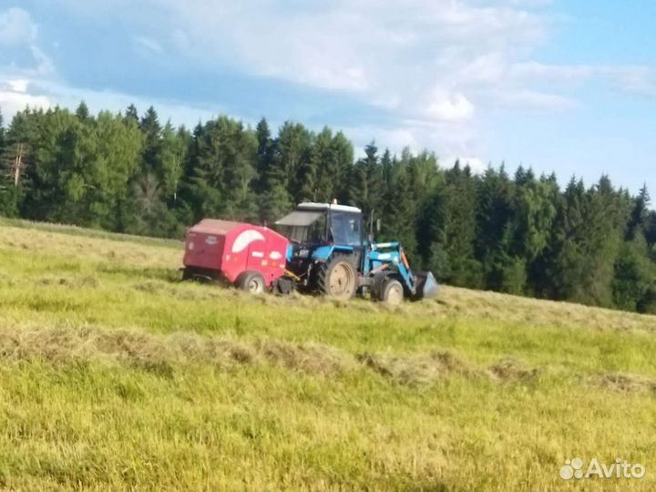 Сено Силос многолетних трав 2024 года.1-2-3 класс