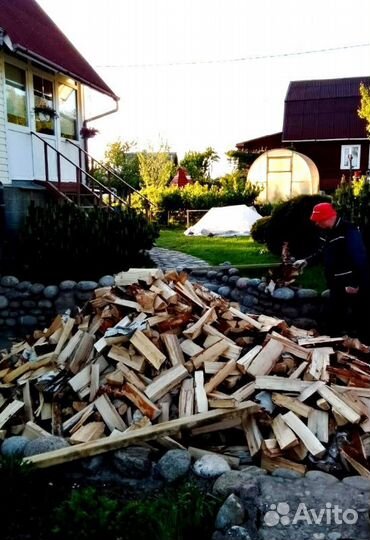 Дрова колотые Береза
