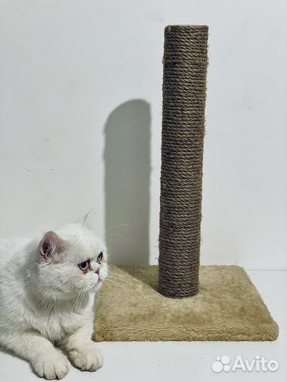 Когтеточки и лежанки для кошек