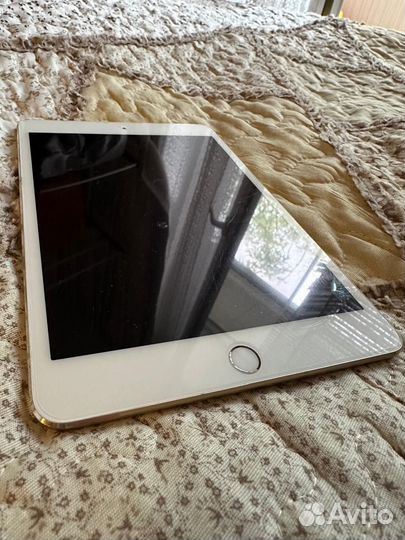 iPad mini 4 128gb cellular