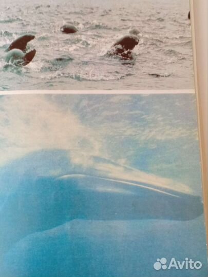 Книга Ж. Кусто 