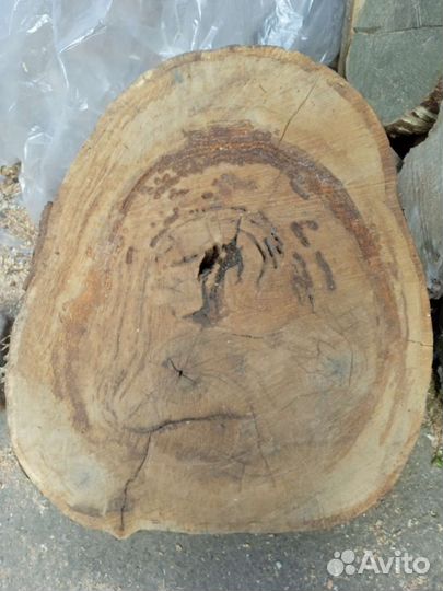 Спил дуб слэб