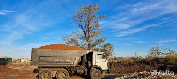 Жом яблочный