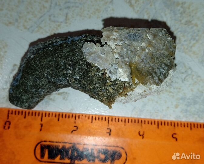 Окаменелость Ругоза