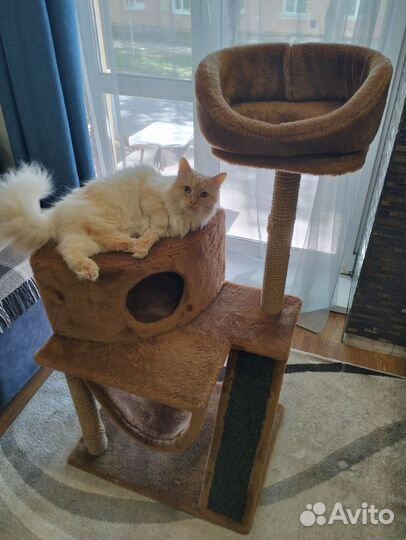 Домик для кошки с когтеточкой