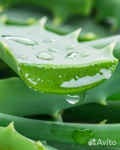 Молочко Бальзам для тела Bebe Rich Body Гeрмания