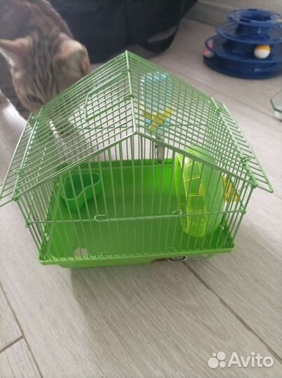 Клетка для джунгарского хомяка, прогулочный шар