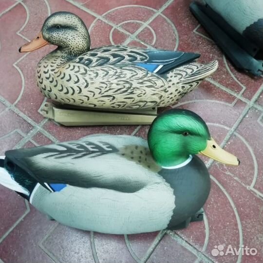 Чучела GHG Essential Series