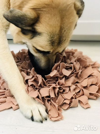 Поисковый коврик для собак и кошек