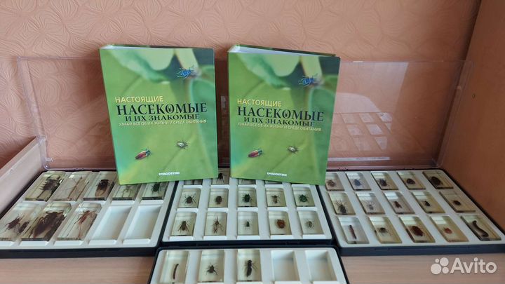 Коллекция жуков и насекомых Деагостини