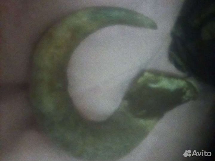 Рог животного