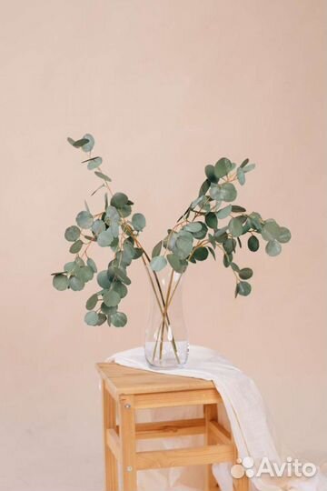 Эвкалипт Искуственные цветы