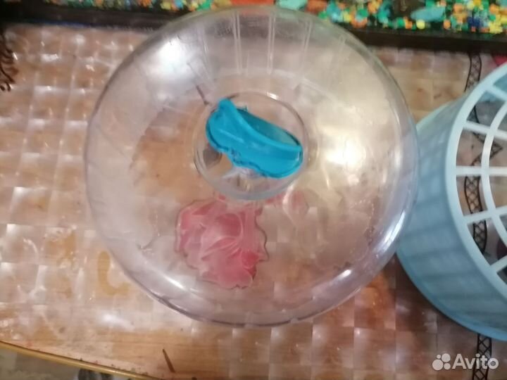 Беговое колесо