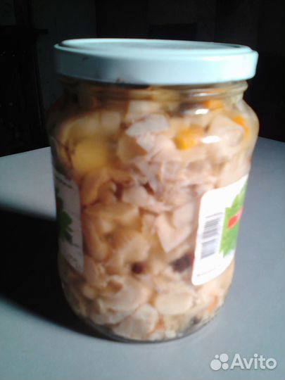 Продам Грибы