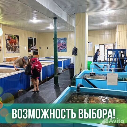 Оленина вяленое мясо сырокопченое Премиум