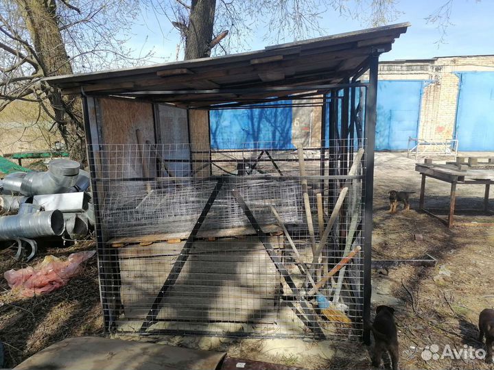 Вальеры для собак бу